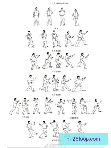 太极拳规定动作训练，呼吸节奏与重心转换要到位
